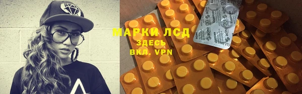 индика Балабаново