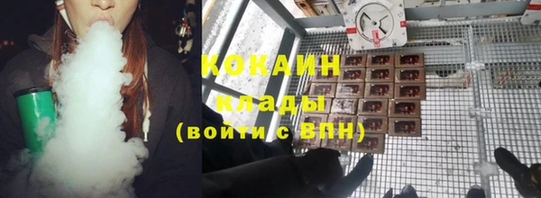 индика Балабаново
